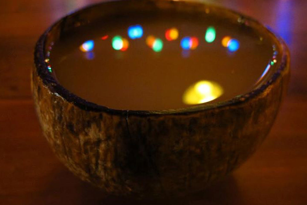 The Curious Case of Drinking Kava in Germany Bula Kava House