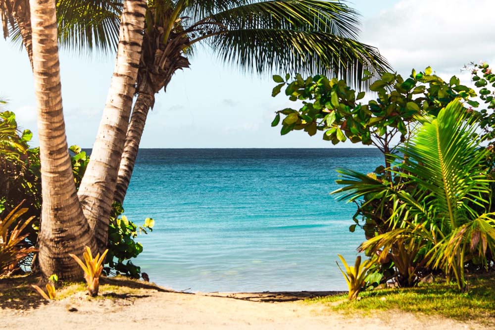 Experience the Wonders of the Solomon Islands