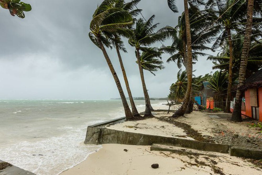 Updated: Join Bula Kava House in Helping to Provide Relief for the Tongan People