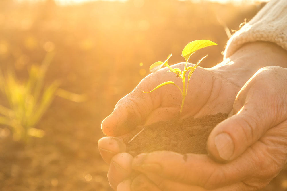 Earth Day - Looking Out For The Future